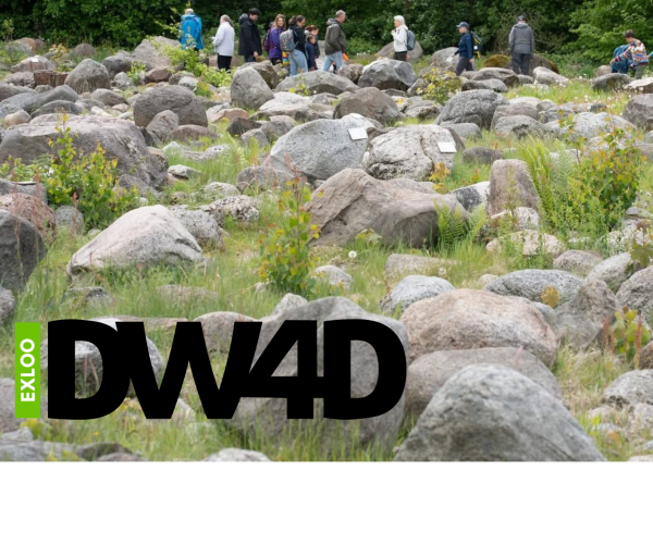 DW4D (1)